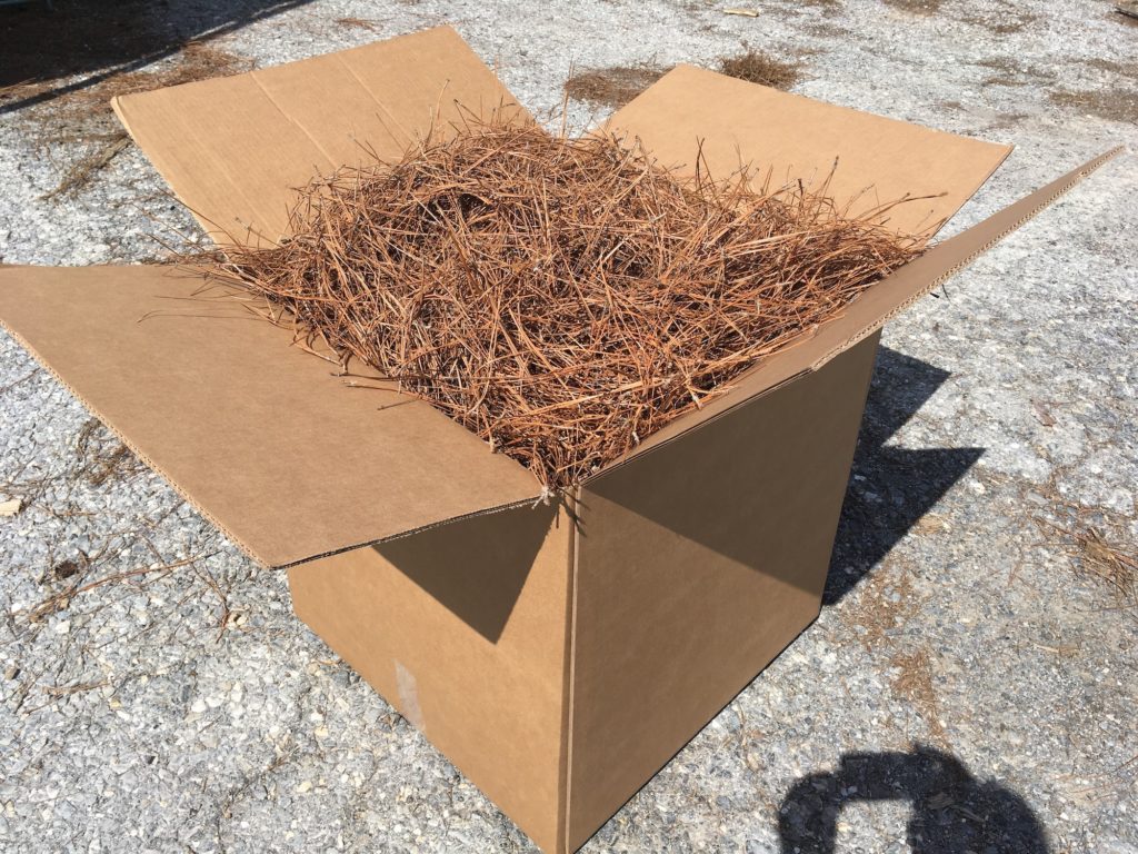 Large Box (24"x24"x24") of Premium Longleaf Pine Straw FREE SHIPPING