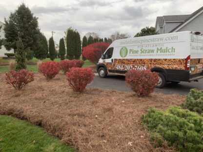 Pine Needle Mulch Delivery Near Me