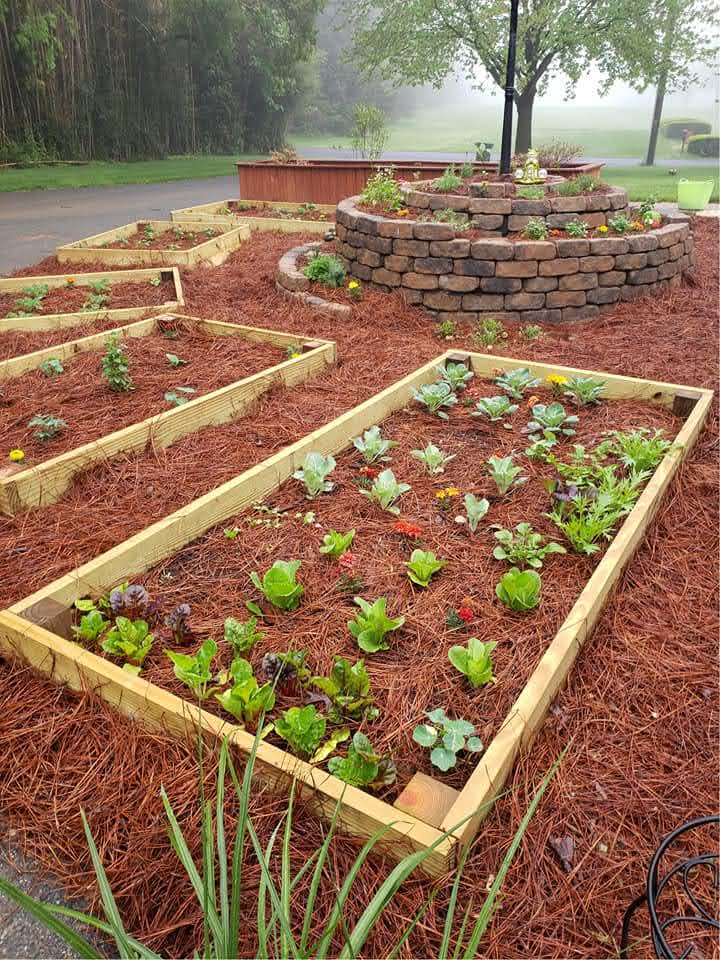 Homepage New England Pine Straw Mulch