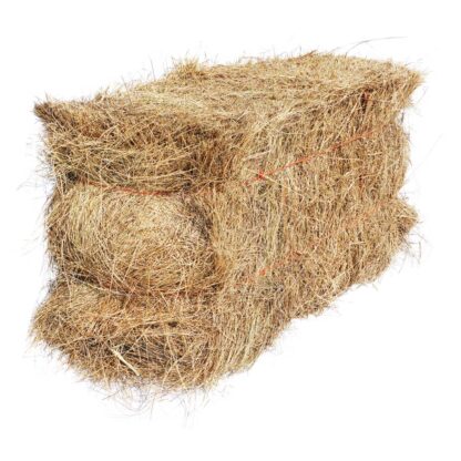 Salt Hay Vegetable Garden Mulch